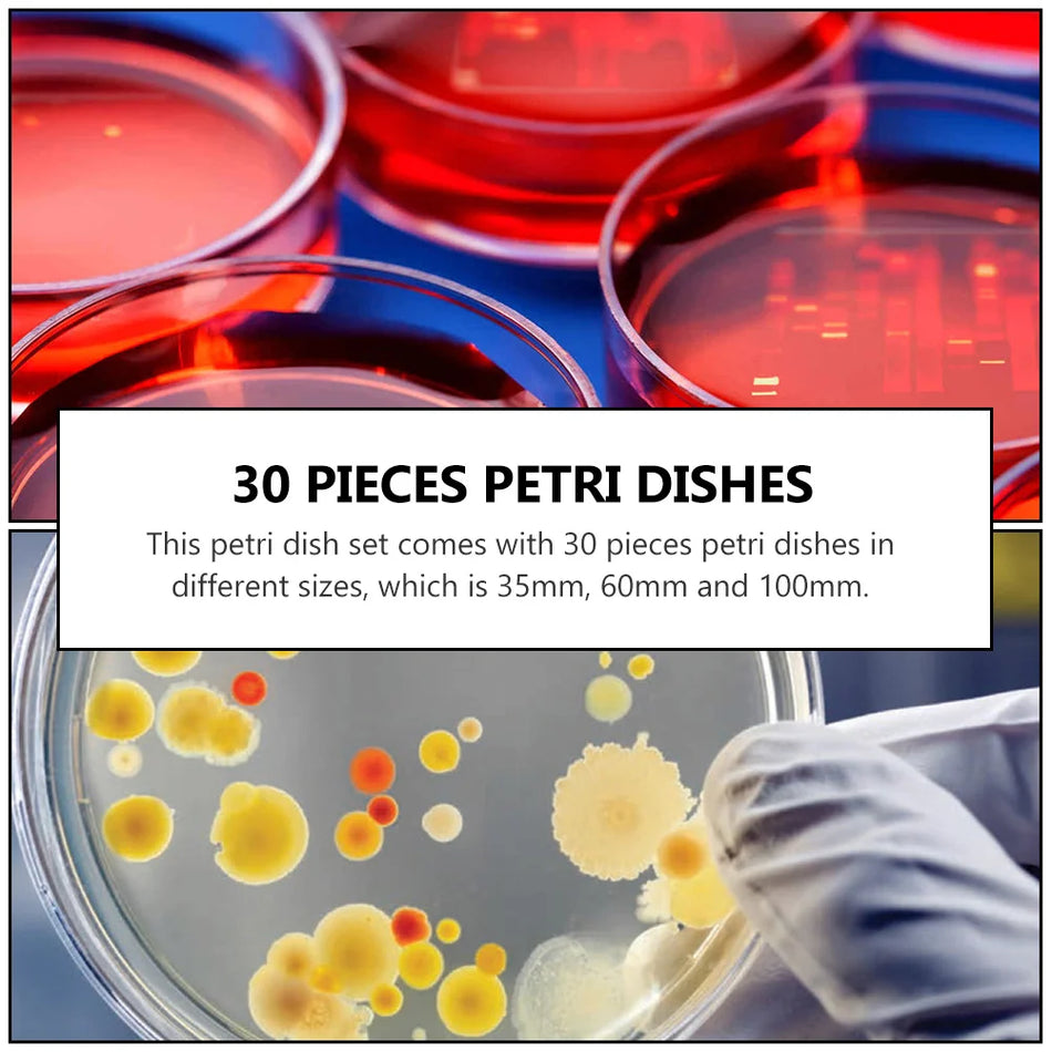 20 Pcs Transparent Plastic Petri Dishes &ndash; Eco-Friendly Reusable Culture Tools