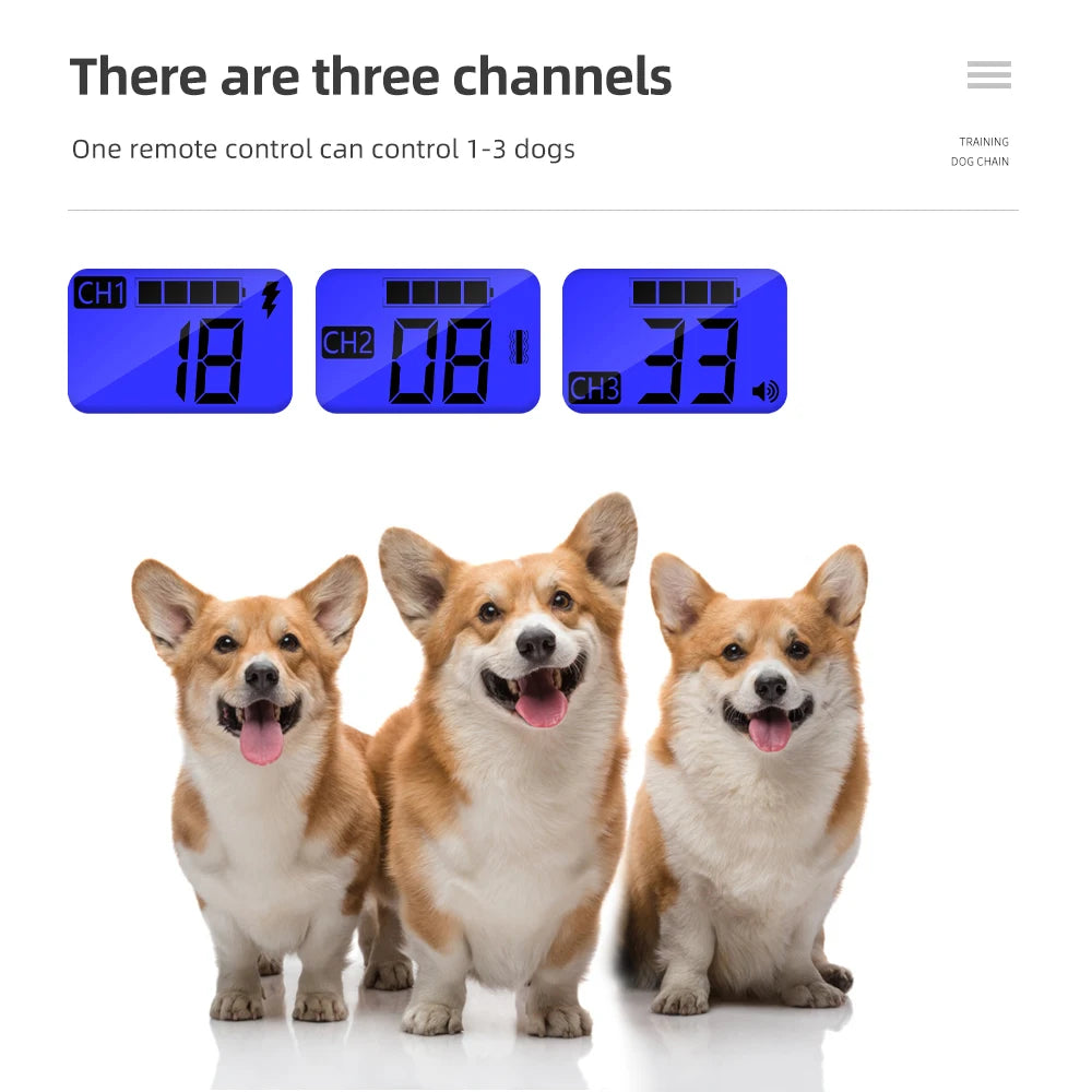 800m Electric Dog Training Collar &ndash; Waterproof Remote