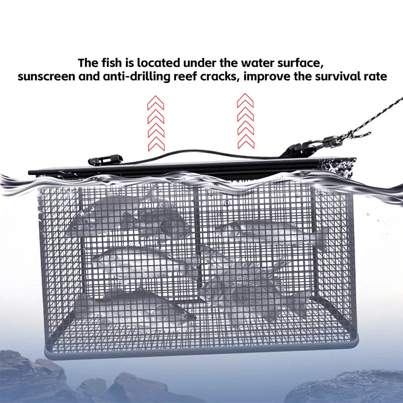 Sougayilang Foldable Fishing Cage Net - Carp, Crayfish &amp; Lobsters Trap