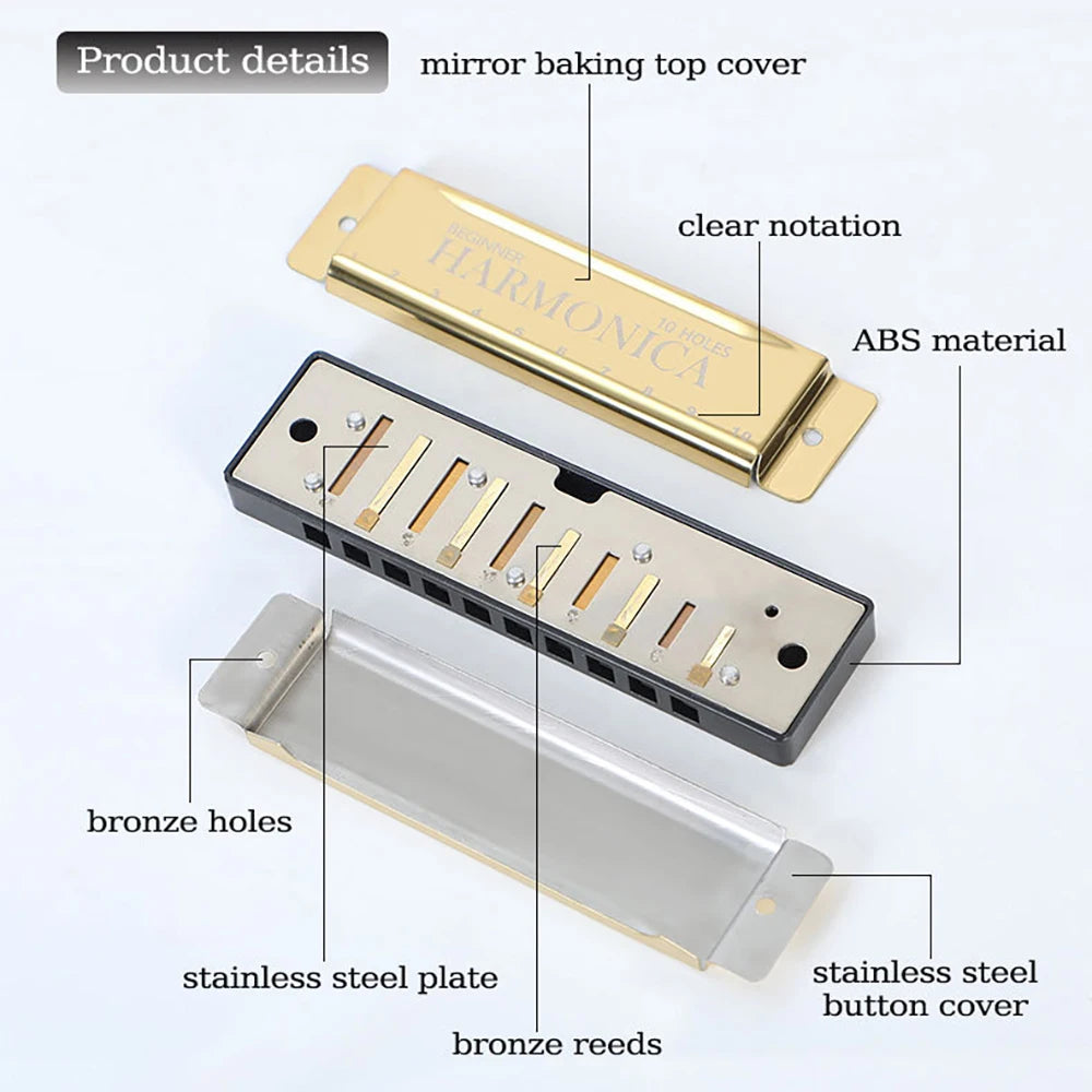 10 Hole C Harmonica Mouth Organ Blues Harp &ndash; Easy to Play
