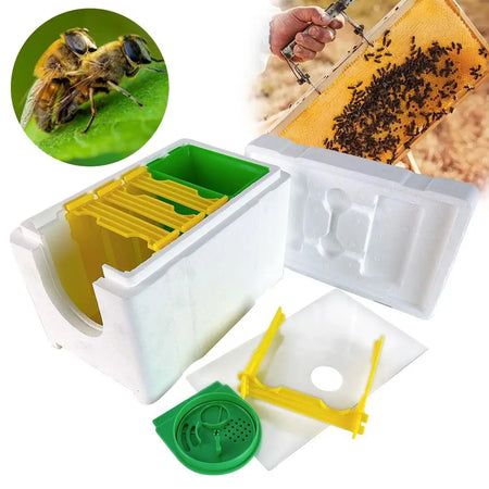 C9y9 - Compact Beehive Box for Pollination and Beekeeping