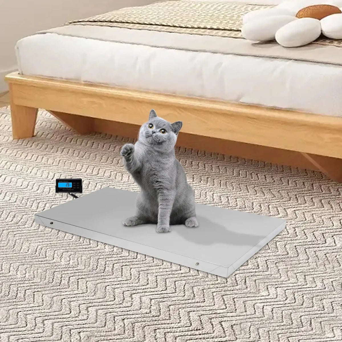 300KG/660LBS Digital Animal Scale - Stainless Steel Platform