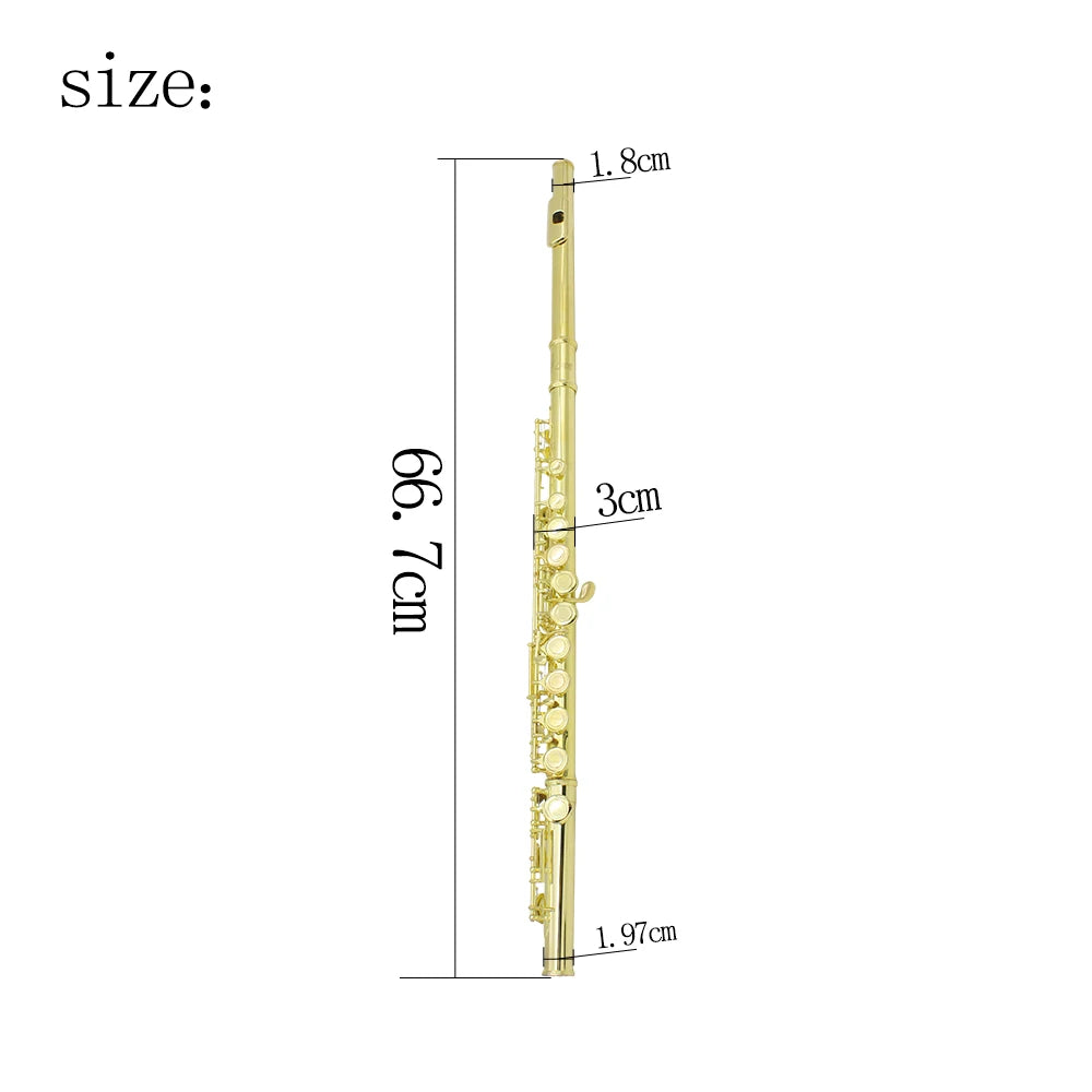 SLADE Flute 16 Open Closed Holes C Key &ndash; Pro Transverse