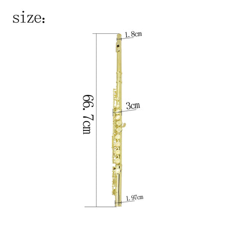 SLADE Flute 16 Open Closed Holes C Key &ndash; Pro Transverse