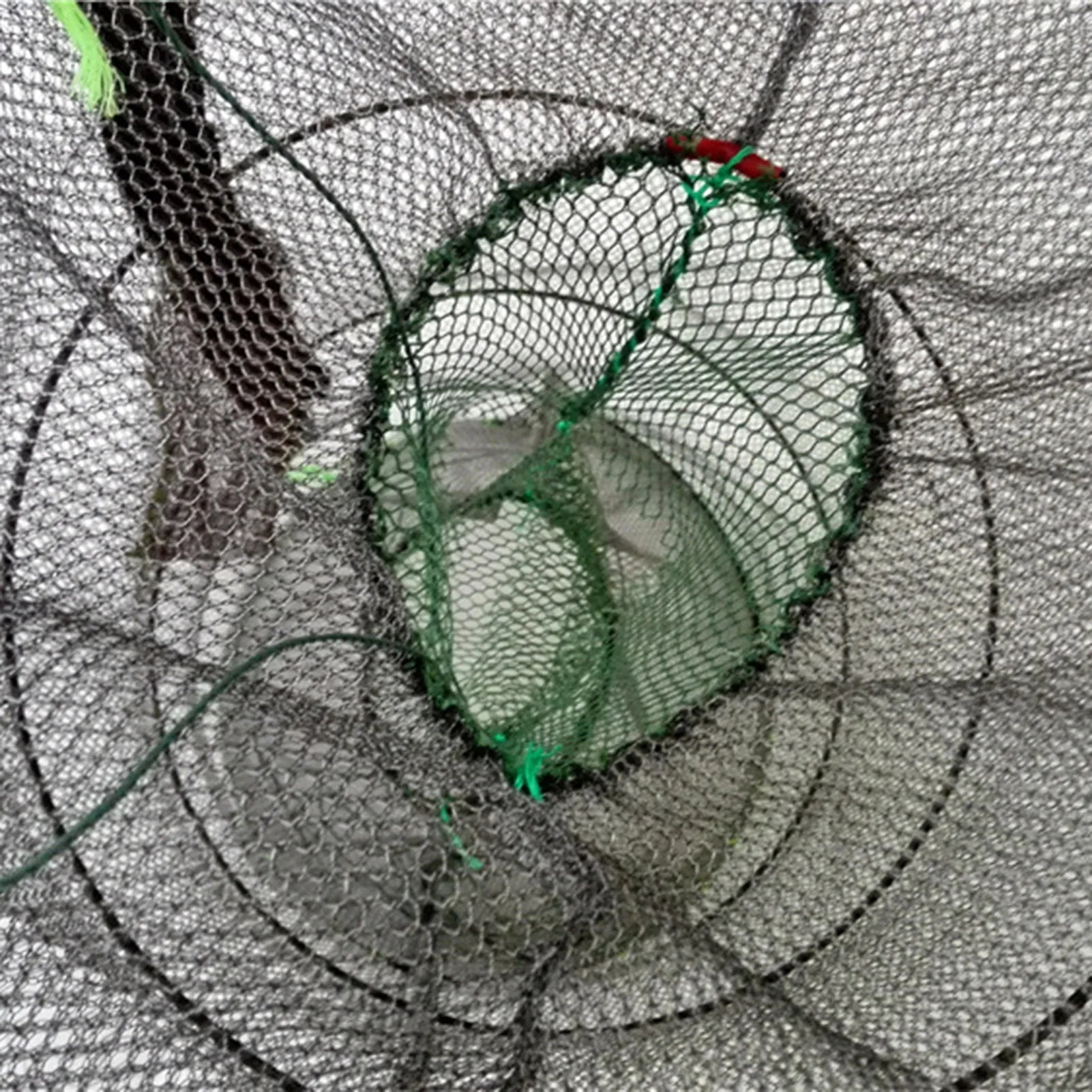 Durable Folding Fishing Mesh Cage for Crabs, Lobsters &amp; Fish