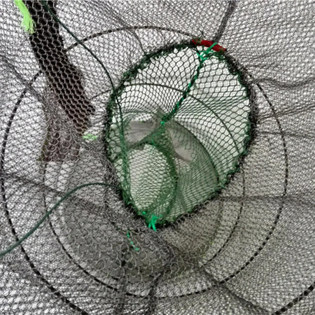 Durable Folding Fishing Mesh Cage for Crabs, Lobsters &amp; Fish