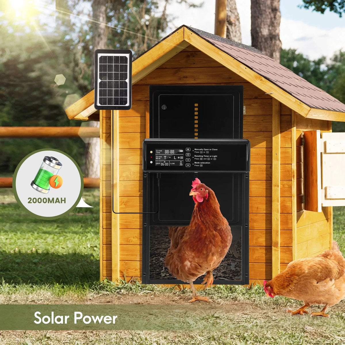 Solar Automatic Chicken Coop Door &ndash; LCD Screen Auto Open
