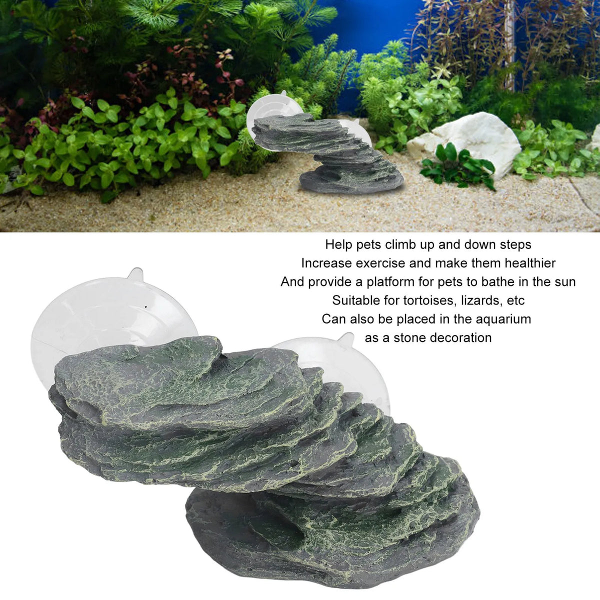 Resin Tortoise Climbing Rock Platform &ndash; Lifelike Dock