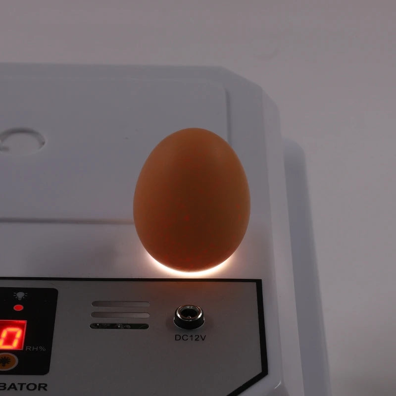 16 Egg Incubator Dual Electric &ndash; Automatic Egg Turning
