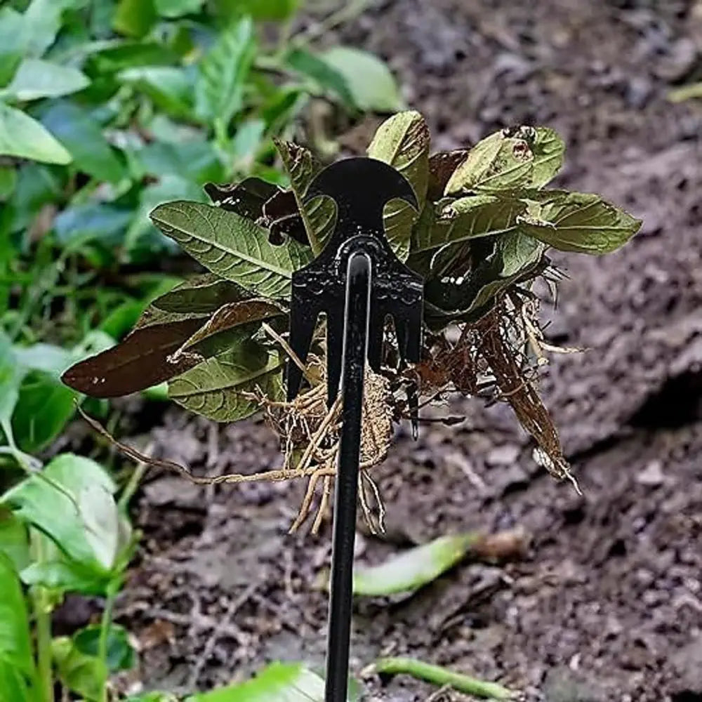 Multifunctional Hand Weeder
