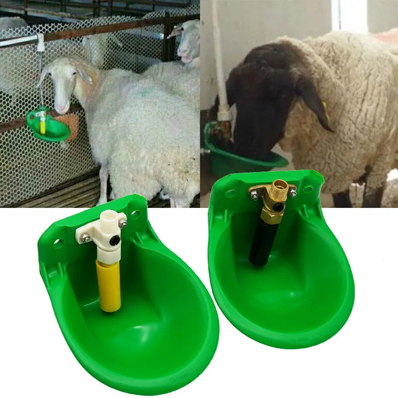 Livestock Drinker Bowl For Sheep &ndash; Bronze Valve Durability