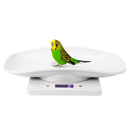 10kg 1g Digital Small Pet Weight Scale &ndash; 1g Precision