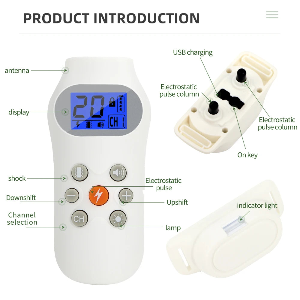 800M Remote Control Dog Training Collar - Rechargeable