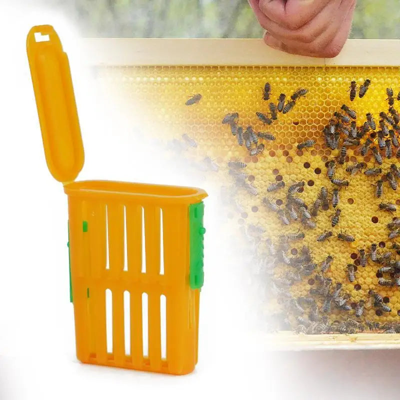 Beekeeping Queen Cage Set 5Pcs &ndash; Safe Queen Transport