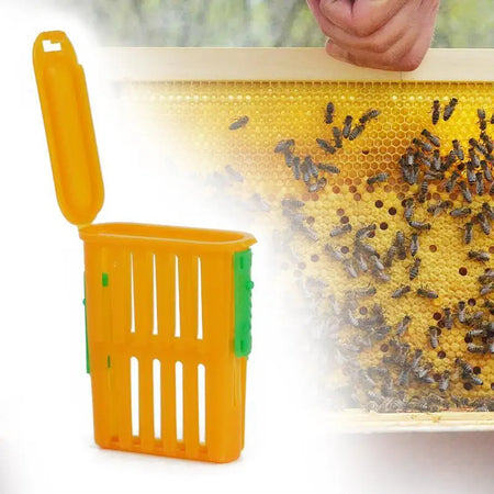 Beekeeping Queen Cage Set 5Pcs &ndash; Safe Queen Transport