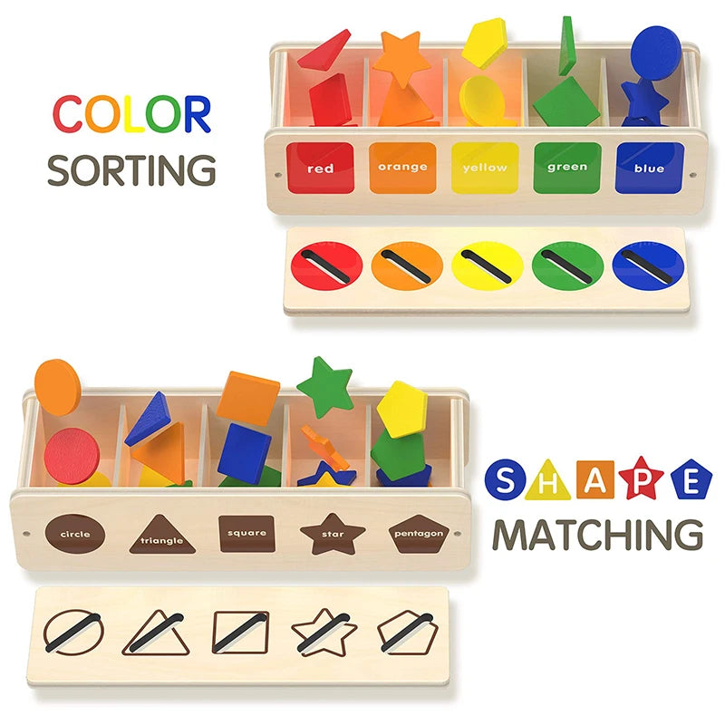 Montessori Wooden Sorting Box BZS00414 &ndash; Sensory Sorting Fun