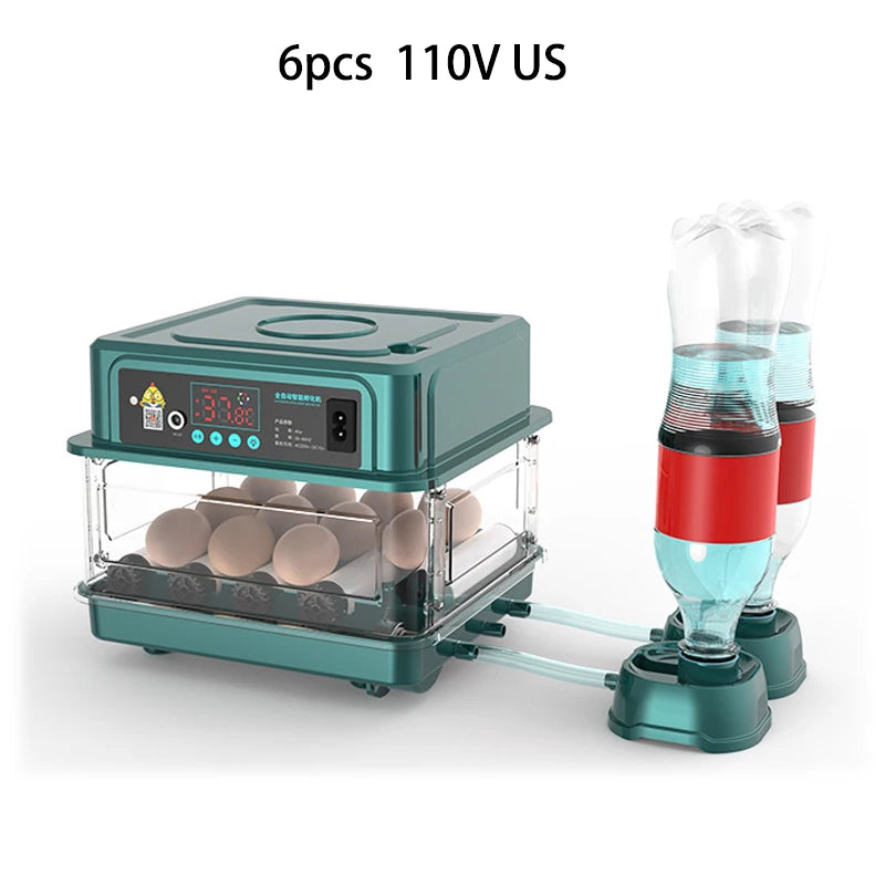 6/12 Hatcher Eggs Incubator Brooder &ndash; Auto Egg Turner Green 6 110V US
