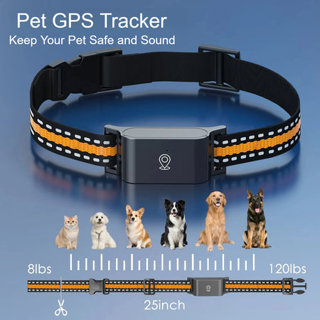 4G GPS Pet Dog Tracker Collar &ndash; Real Time Tracking App