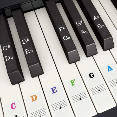 Miwayer Piano Key Stickers 37 To 88 Keys &ndash; Removable Labels