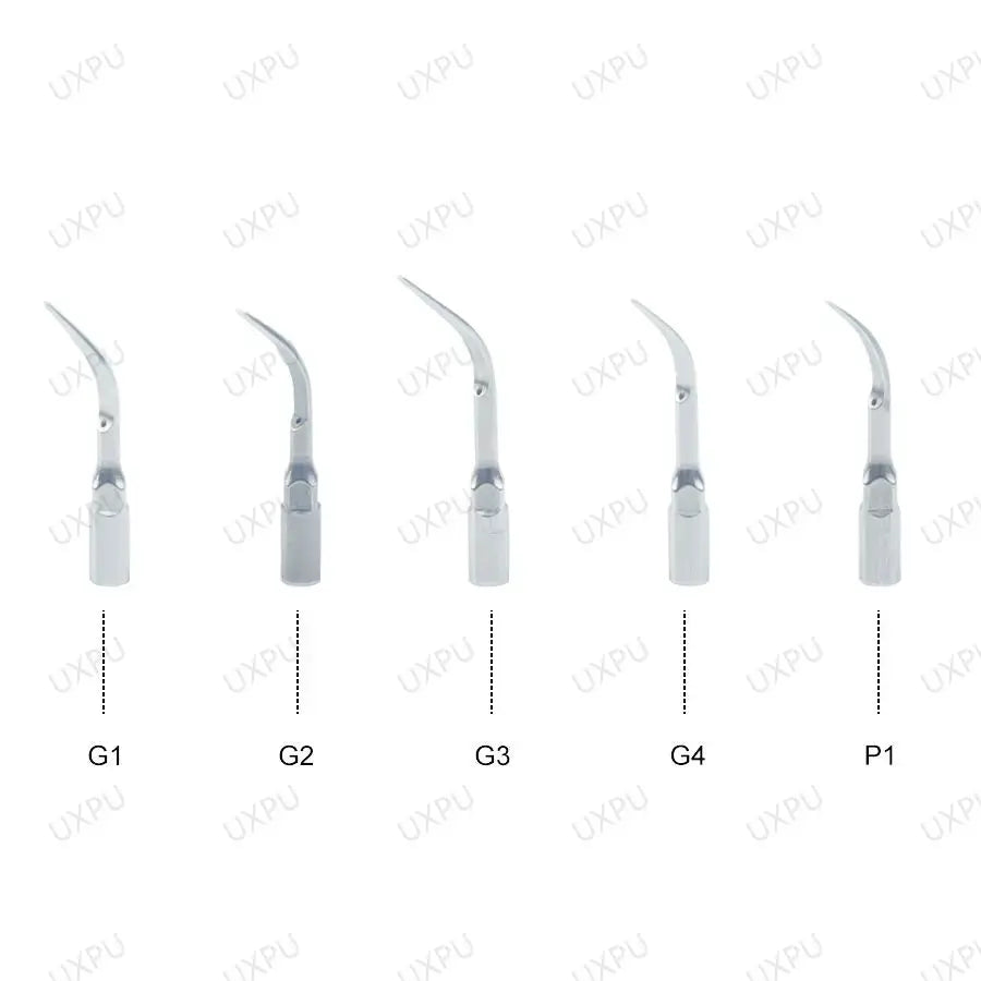 5pcs Dental Ultrasonic Scaler Tip Scaling Tip Periodontics Endodontics Fit EMS Woodpecker SATELEC DTE NSK by InterCyprus Trading Ltd