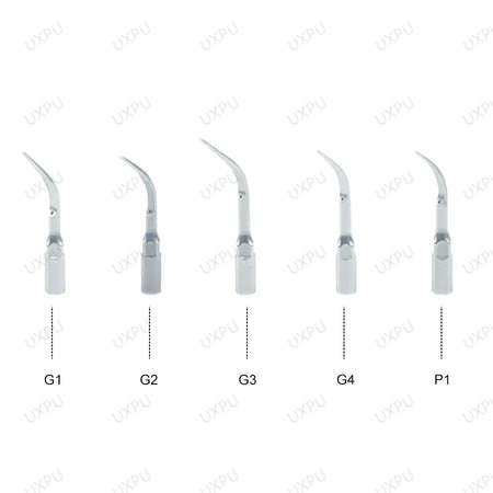 5pcs Dental Ultrasonic Scaler Tip Scaling Tip Periodontics Endodontics Fit EMS Woodpecker SATELEC DTE NSK by InterCyprus Trading Ltd