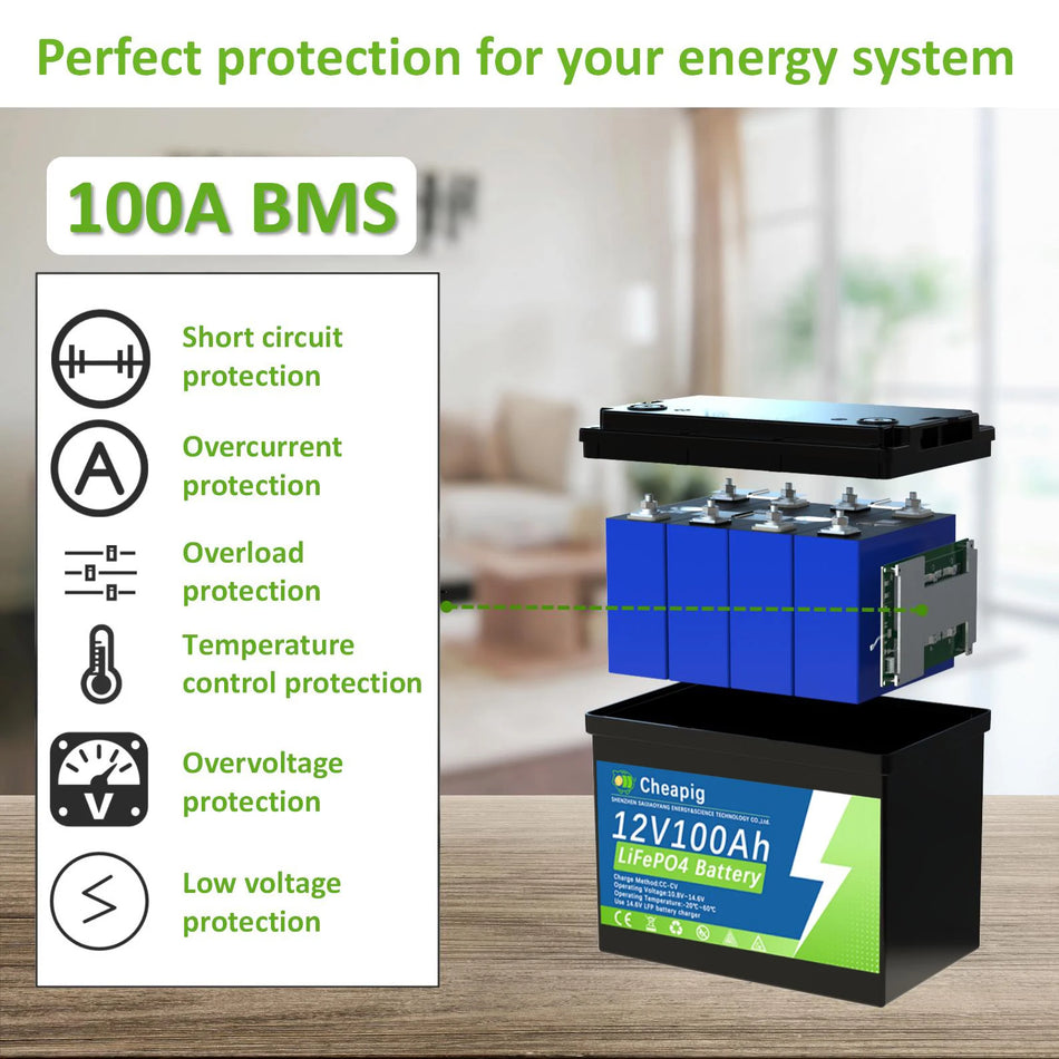 Pacco Batteria SJY LiFePO4 12V e 24V 100Ah con BMS 100A Integrato per Camper Barca Marina Energia Solare