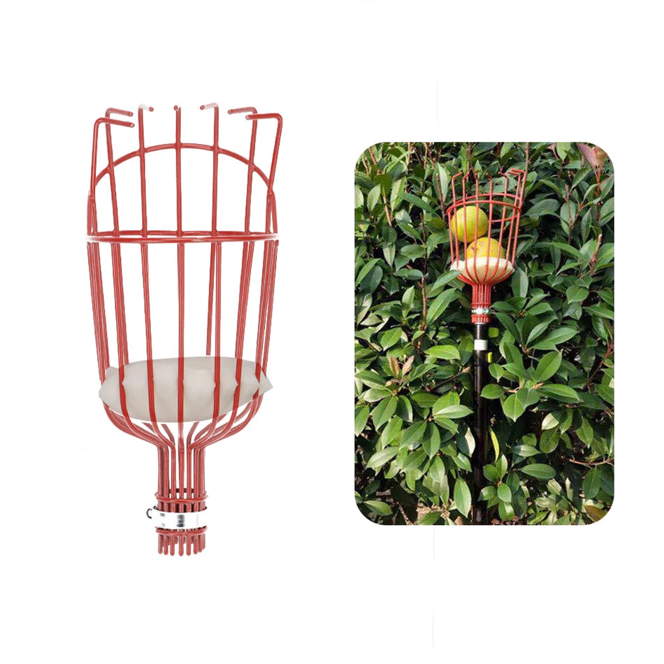 Pārnēsājamais augļu lasītājs ar dziļu grozu vieglai dārza augļu novākšanai