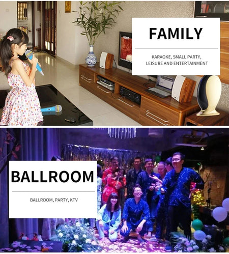 BM 800 Studio Condenser Microphone