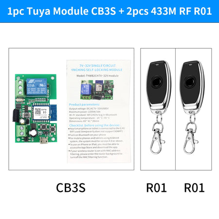 Cb3s &ndash; One Channel Tuya Smart WiFi Relay With Alexa App CB3S R01-2