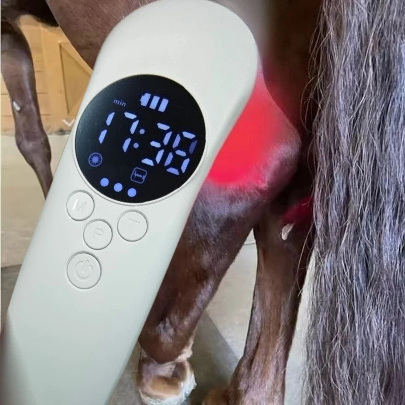 Eläinten kivunlievityslaserilaite 650Nm 808Nm 17 diodilla