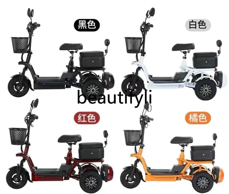 Electric Tricycle Family Carrier &ndash; 48V Lithium Battery