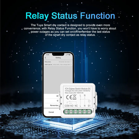 Smart Dry Contact WiFi &amp; Zigbee Switch Module - Alexa &amp; Google Home Compatible