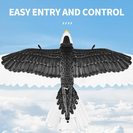 3CH Eagle RC Plane FX9651 &ndash; 360 Degree Rotation EPP Foam