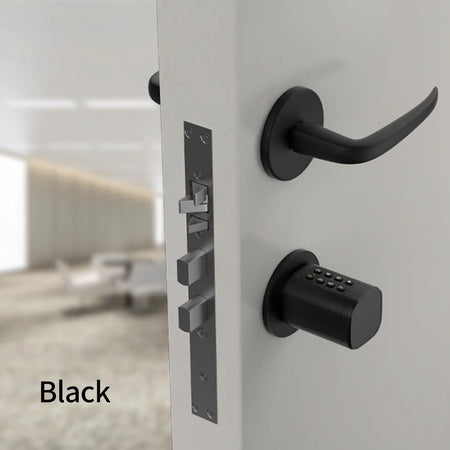Lucking Door S2K Smart Cylinder Lock &ndash; Keyless Biometric