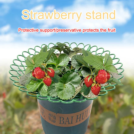 Sturdy 5PCS Strawberry Supports for Optimal Plant Growth