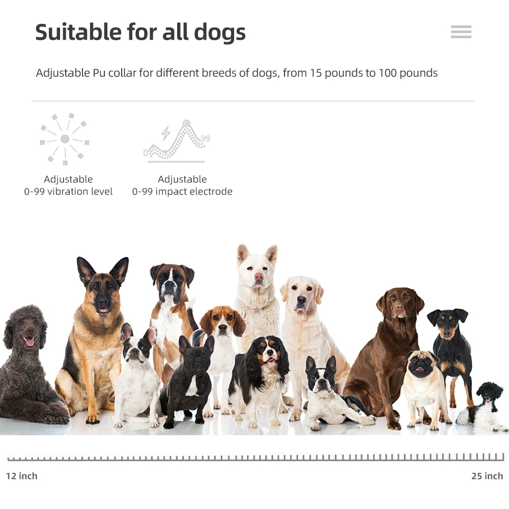 800m Remote Control Dog Training Collar &ndash; Rechargeable Waterproof Design