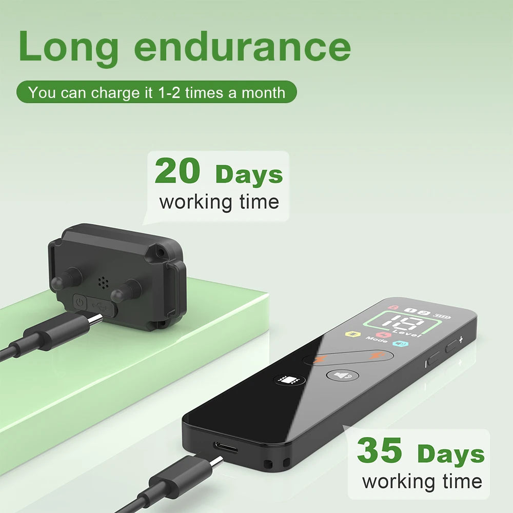 800M Electric Dog Training Collar &ndash; Waterproof Rechargeable