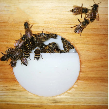 Bee Feeder SR0050 - Automatic Internal Water Feeding