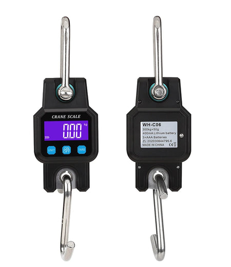 WH-C06B Bluetooth Portable Hook Scale &ndash; 300kg Capacity