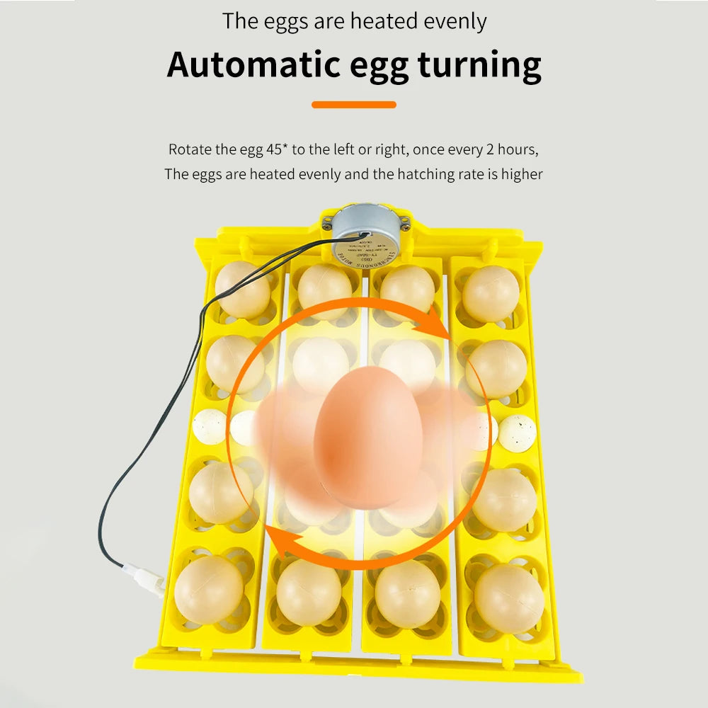 16/24 Eggs Incubator &ndash; Automatic Egg Turning for Efficient Hatching