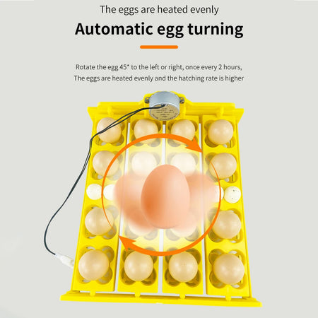 16/24 Eggs Incubator &ndash; Automatic Egg Turning for Efficient Hatching