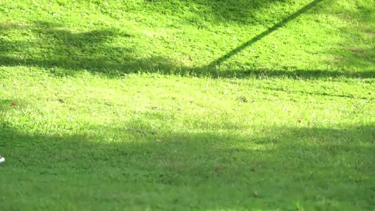 Portable Sunshade Tent &ndash; Easy Setup for Camping and Outdoor Adventures