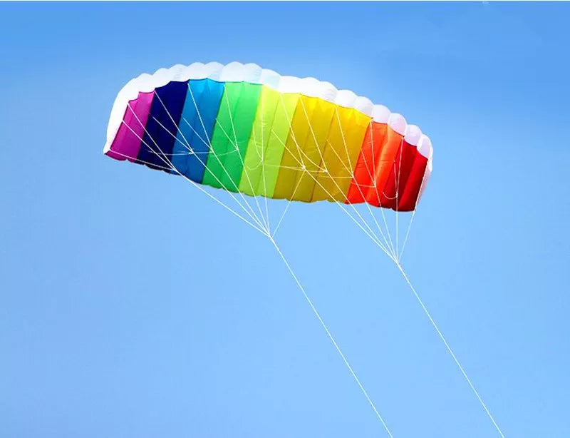 free shipping 2.5m large Dual Line Stunt Sport soft Kite with control bar kitesurfing outdoor toys flying kiteboard 150cm Colors