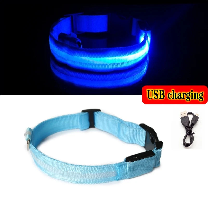 Led Dog Collar Light Anti-lost Collar For Dogs Puppies  Night Luminous Supplies Pet Products Accessories USB Charging/Battery Blue USB charging / XL