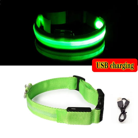 Led Dog Collar Light Anti-lost Collar For Dogs Puppies  Night Luminous Supplies Pet Products Accessories USB Charging/Battery Green USB charging / XL