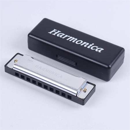 Miwayer 10-Hole Professional Harmonica in Key of C Silvery