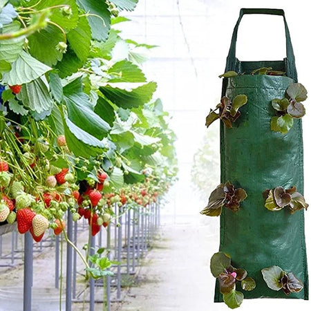 Multi-Function Hanging Strawberry Grow Bag Upside Down Planter Tomato Potato Vegetable Flower Plant Grow Bags  Garden Decoration