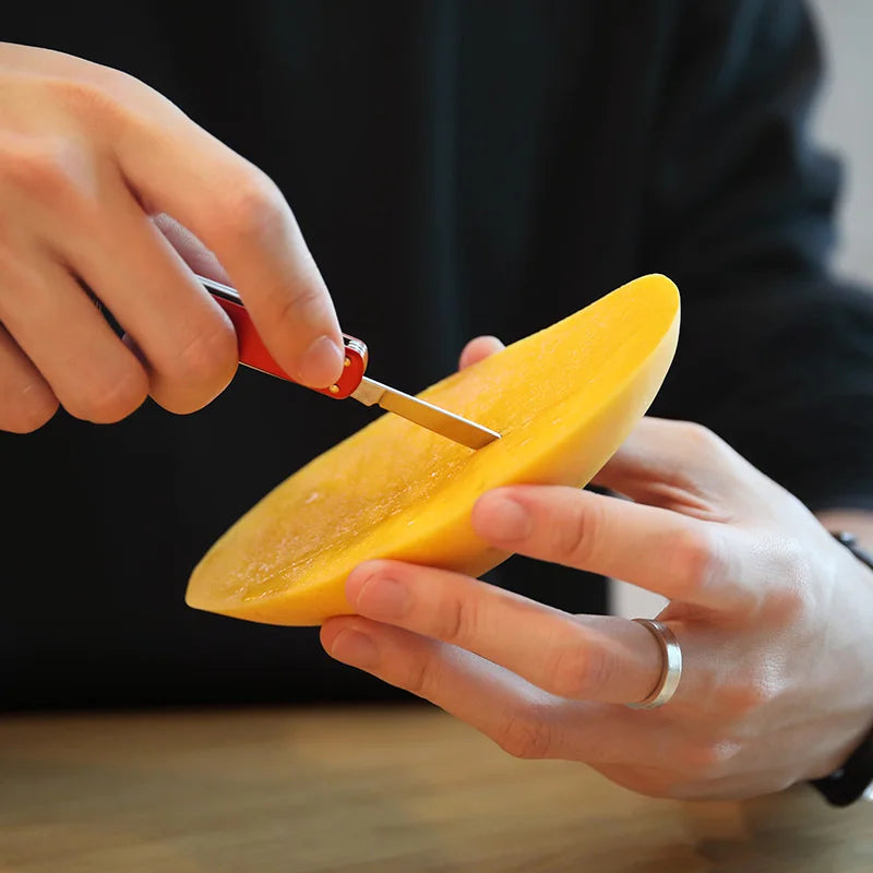 NexTool Multitool Mini Knife Folding Scissors Screwdriver Pocket Knife Portable Outdoor Cutter Multipurpose Repair Tools