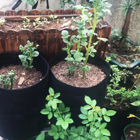 Outdoor Round Potato Planting Bag PP Nonwoven Plant Growth Pouch Tomoto Growing Pot 7 Gallons