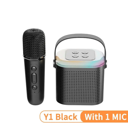 Portable Wireless Dual Microphone Karaoke Machine Bluetooth PA Speaker KTV DSP System HIFI Stereo Sound RGB Colorful LED Lights